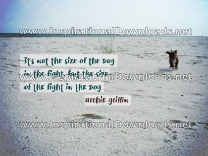 Size of the Fight by Archie Griffin (Inspirational Downloads)