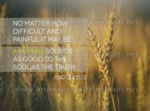 The Truth by Martha Beck (Inspirational Downloads)