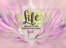 Life Shrinks Or Expands by Anais Nin (Inspirational Downloads)