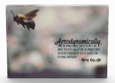 Goes On Flying Anyway Customized Products (Inspirational Downloads)