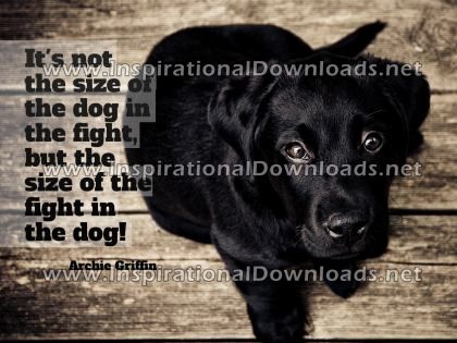Inspirational Quote: Size Of The Fight by Archie Griffin (Inspirational Downloads)