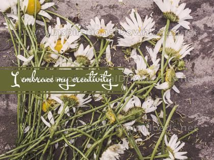 I Embrace My Creativity by Positive Affirmations (Inspirational Graphic Quote by Inspirational Downloads)