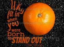 STAND OUT by Dr. Seuss (Inspirational Graphic Quote by Inspirational Downloads)