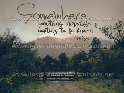 Waiting To Be Known by Carl Sagan (Inspirational Graphic Quote by Inspirational Downloads)