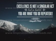 Excellence Is A Habit by Shaquille O'Neal