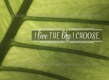 Live The Life by Positive Affirmations (Inspirational Graphic Quote by Inspirational Downloads)