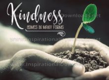 Kindness by Positive Affirmations (Inspirational Graphic Quote by Inspirational Downloads)