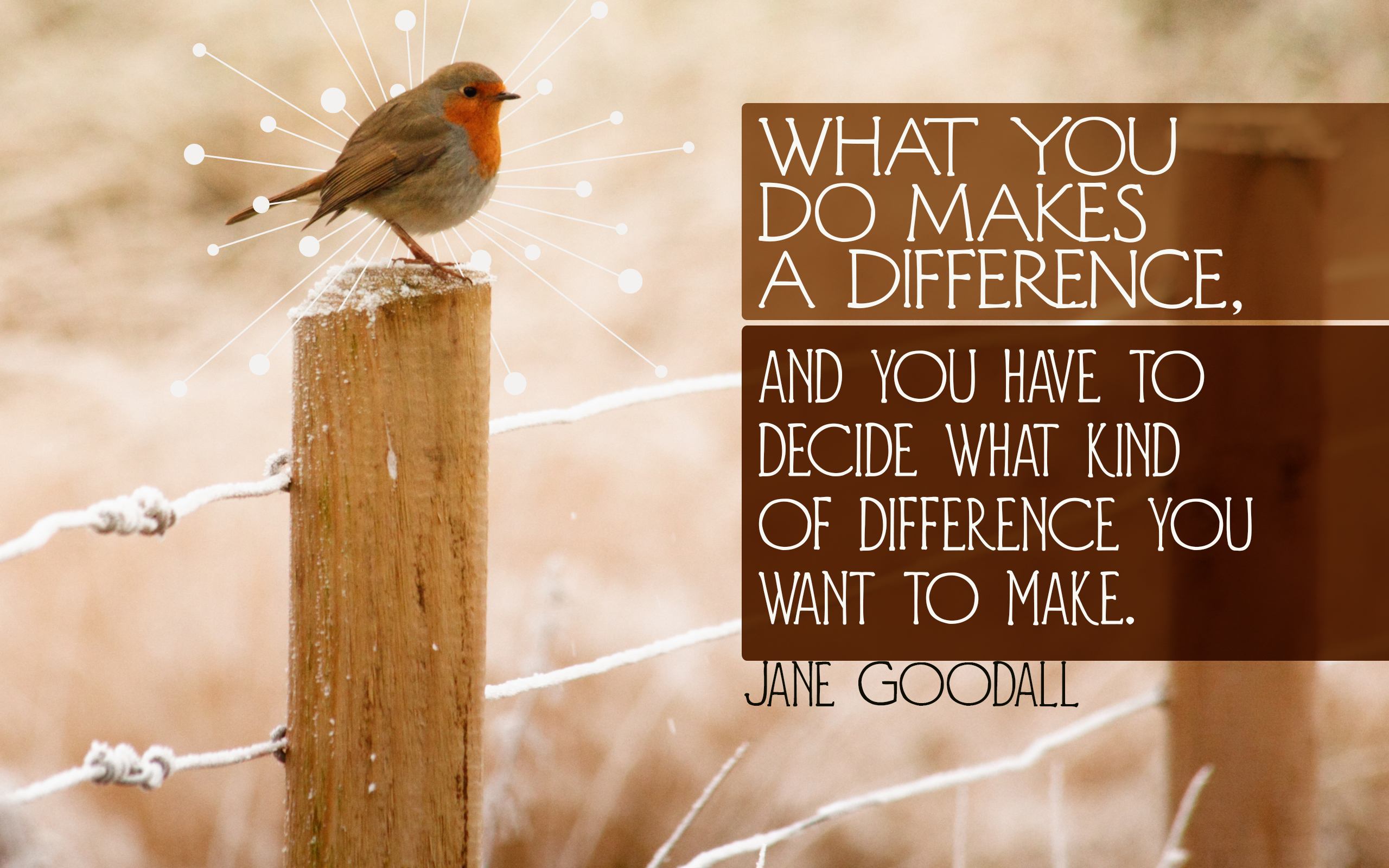 Difference You Want To Make by Jane Goodall Inspirational Graphic Quote