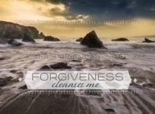 Forgiveness Cleanses Me by Positive Affirmations Inspirational Graphic Quote
