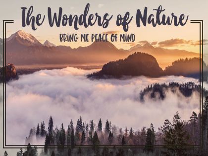 Wonders of Nature Inspirational Graphic Quote Poster