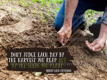 The Seeds You Plant by Robert Louis Stevenson Inspirational Graphic Quote