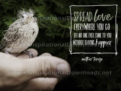 Spread Love Everywhere You Go by Mother Teresa Inspirational Graphic Quote