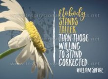 Willing To Stand Corrected Inspirational Quote Graphic by William Safire