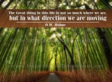 Great Thing In This Life Inspirational Quote Graphic by O.W. Home