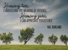 Knowing Trees And Knowing Grass Inspirational Quote Graphic by Hal Borland
