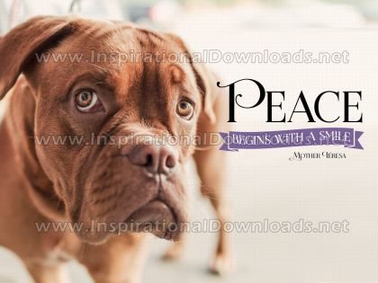 Peace Begins With A Smile Inspirational Quote Graphic