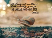 Do Not Stop by Confucius Inspirational Quote Graphic
