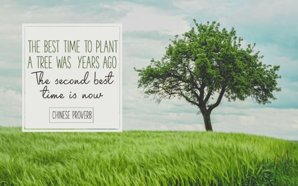 Best Time To Plant A Tree by Chinese Proverb Inspirational Quote Graphic