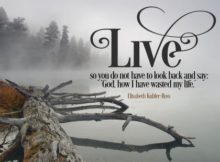 Live by Elisabeth Kubler-Ross Inspirational Graphic Quote Poster