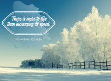 More To Life by Mahatma Gandhi Inspirational Quote Graphic