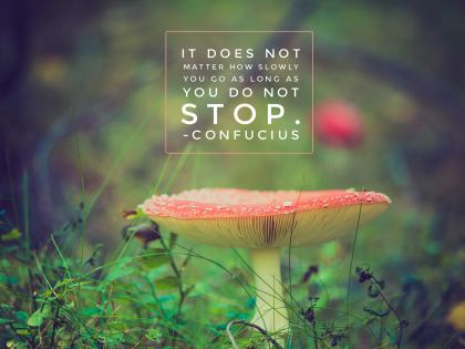 Do Not Stop by Confucius Inspirational Quote [October 2019]
