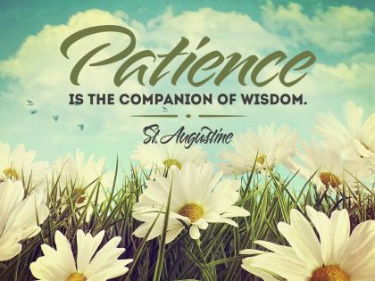 Companion Of Wisdom by Saint Augustine Inspirational Graphic Quote Poster
