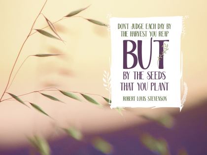 Seeds That You Plant by Robert Louis Stevenson Inspirational Quote Graphic