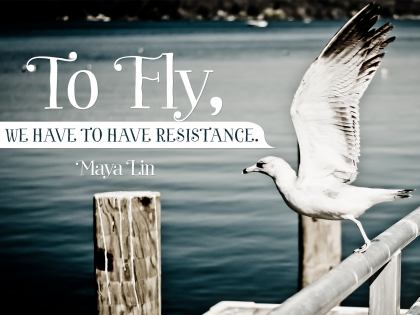 1273-Fly Inspirational Graphic Quote Poster