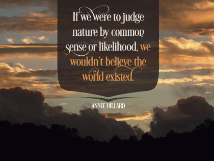 To Judge Nature Inspirational Quote Graphic