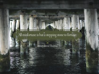 1388-Thoreau Inspirational Graphic Quote Poster