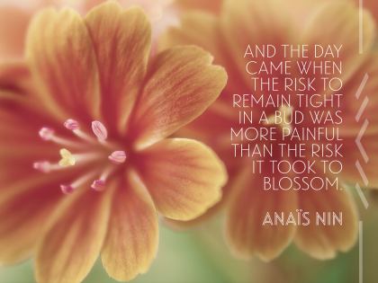 Inspirational Quote: Risk It Took To Blossom by Anais Nin (Inspirational Downloads)