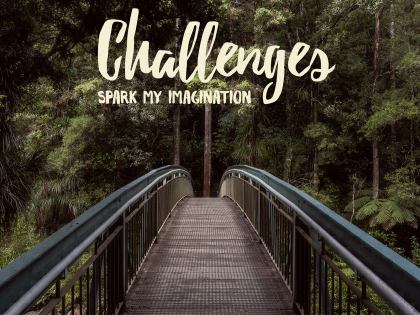 1737-Challenges Inspirational Graphic Quote Poster
