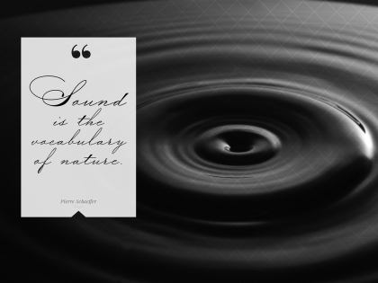 2367-Schaeffer Inspirational Graphic Quote Poster