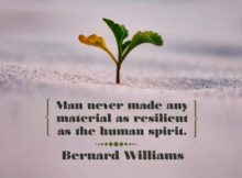 Resilient as the Human Spirit by Bernard Williams Inspirational Poster
