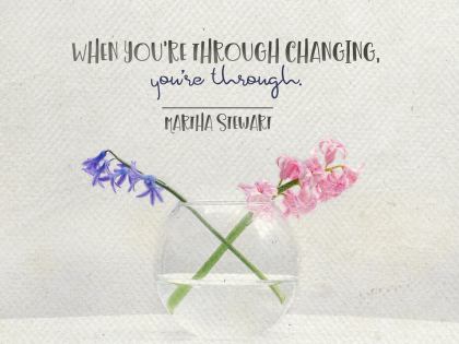 Through Changing by Martha Stewart Inspirational Poster