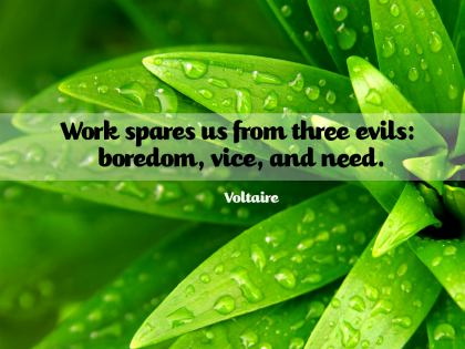 344-Voltaire Inspirational Quote Poster