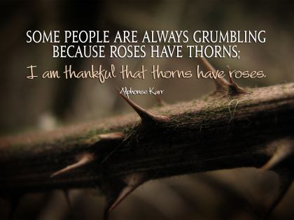 472-Thorns Inspirational Graphic Quote Poster