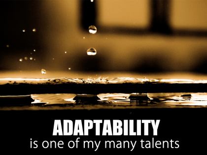 591-Adaptability Inspirational Graphic Quote Poster