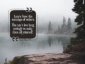 2599-Roosevelt Inspirational Quote Graphic