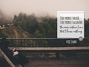 2626-Voltaire Inspirational Quote Graphic