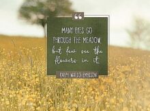 But Few See The Flowers by Ralph Waldo Emerson Inspirational Thought Graphic