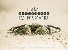 Determined To Persevere (A Positive Affirmation) Inspirational Thought Graphic