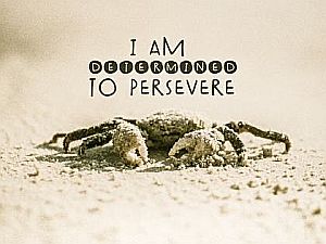 2637-Persevere Inspirational Quote Graphic