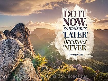 Do It Now by Anonymous Inspirational Thought Graphic