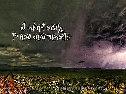 Adapt To New Environments Inspirational Quote Graphic