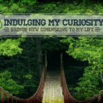 937-curiosity-1280x1024