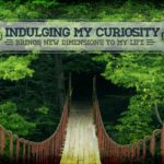937-curiosity-2560x1600