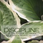 1098-discipline-1600x1200-2