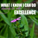 663-excellence-1280x1024